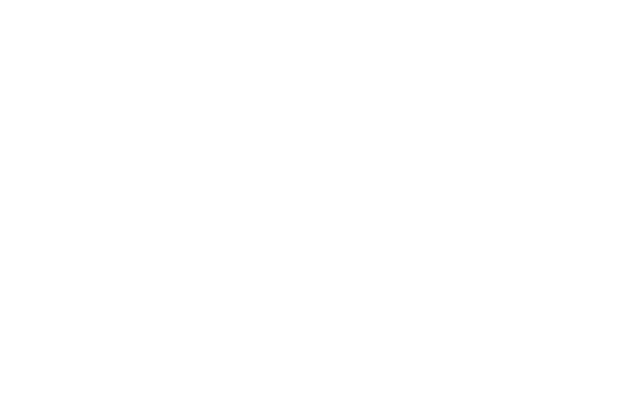 VSI